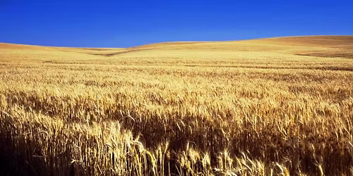 Lyric Opera of Kansas City: Of Mice and Men