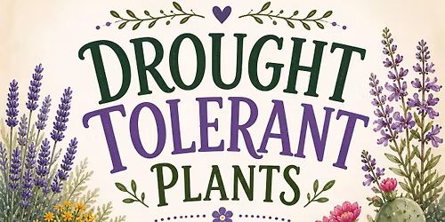 Drought Tolerant Plants