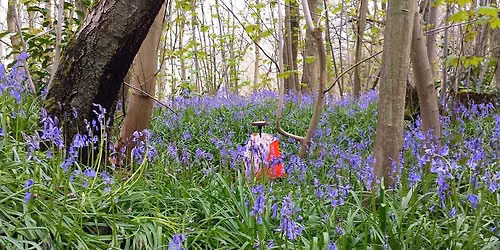 Summer Saturday Series #2 - Haysden Country Park, Tonbridge