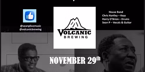 Toowoomba Travelling Blues Jam Volcanic Brewing Saturday 28th 5-9pm