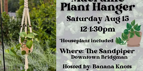 Macrame Plant Hanger