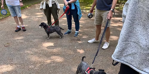 Towneley Park Schnauzer Walk