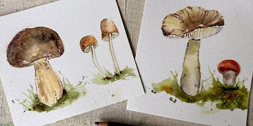 Autumn Mushrooms in Watercolour at Ollie Quinn