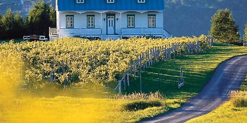 Tour de l\u2019\u00cele d'Orl\u00e9ans & Produits du Terroirs! 