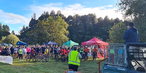 Tarata Valley Trail - Run, Walk, Mountain Bike