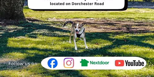 Waggy Walks with Freddie 