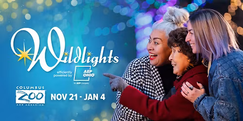 Wildlights at the Columbus Zoo 