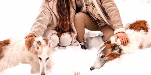 Expats Speed Dating - meet singles face to face