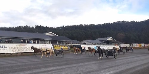 TIL START h\u00f8stsamling