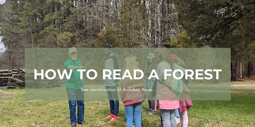 How to read a Forest, Tree ID at Audubon Acres