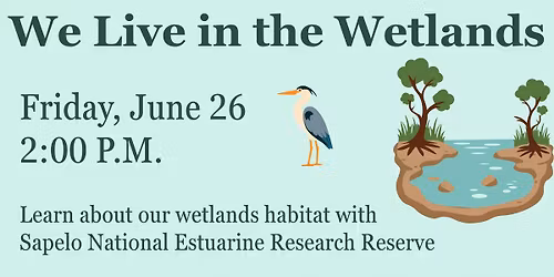 We live in the wetlands