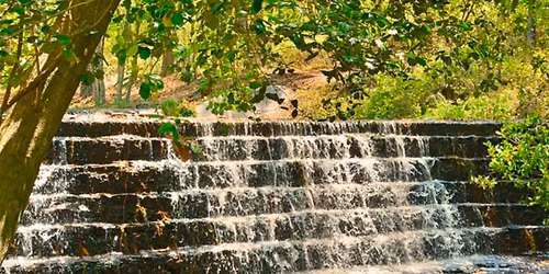 Acrylics for Beginners Brushes, Color Mixing and a Simple Landscape