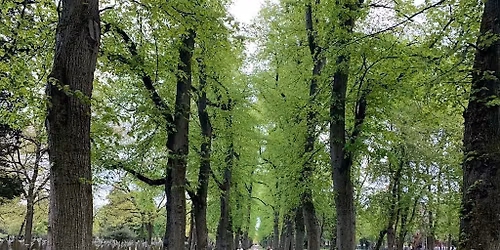 Southern Cemetery Guided Tour
