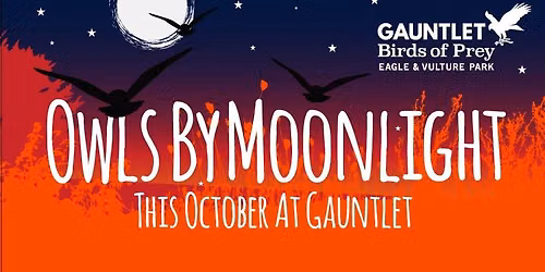 *BOOK NOW* Owls By Moonlight Evening, Fri 16th Oct, 2026