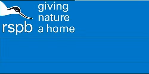 Birdsong & Breakfast