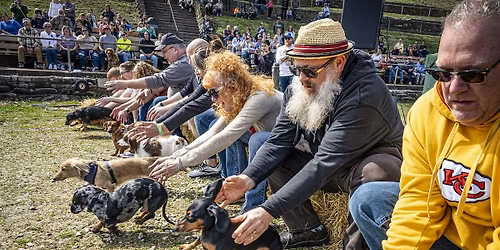 45th Annual Hermann Wurstfest Wiener Dog Derby