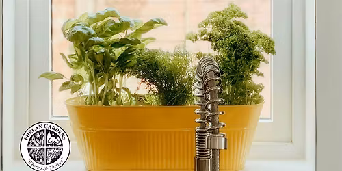 How to Grow Herbs for Your Kitchen