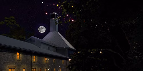 Tett After Dark: Enchanted Forest