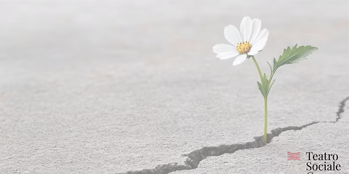 Fratture (Sessione 2)