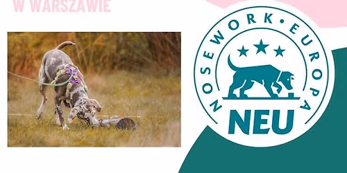 Testy Kwalifikacyjne Nosework Europa w Warszawie