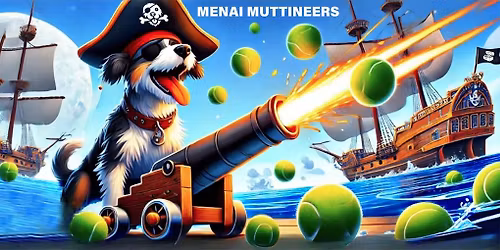 FREE FLYBALL OPEN EVENING!!