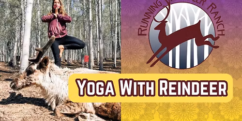Fly and Flow - Yoga with Reindeer