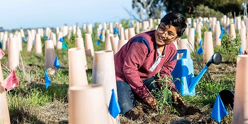 Nature Collective Holds Volunteer Restoration Event