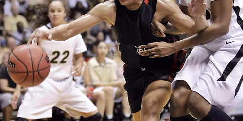 Wofford Lady Terriers at South Carolina Gamecocks Womens Basketball
