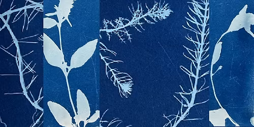 Botanical Blueprints