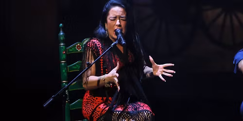 Escena Flamenca. Susana Romero