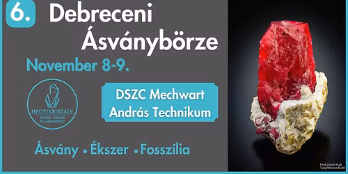 6. Debreceni \u00c1sv\u00e1nyb\u00f6rze