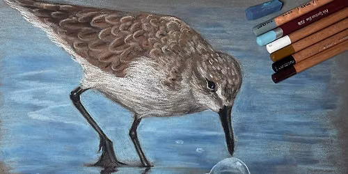 Beginner Pastel Drawing: Birds- McHenry County College