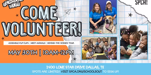 Family Volunteer Day