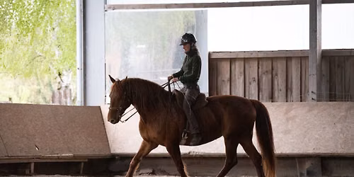Sitzlehrgang \/ Akadamische Reitkunst mit Hanna Engstr\u00f6m