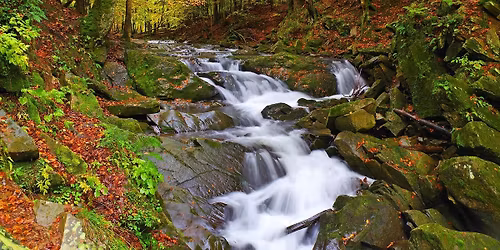 BIESZCZADY
