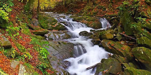 BIESZCZADY