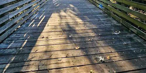 Cape Fear River Run 10k\/Half Marathon\/River Rage