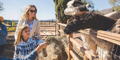 I am Her. She is Me: Fall Retreat at Wanderment Farms