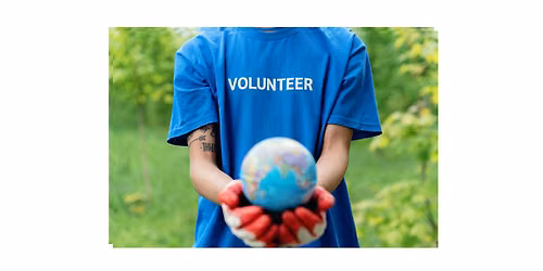 Volunteers for Fun in the Sun - Family Event - NC