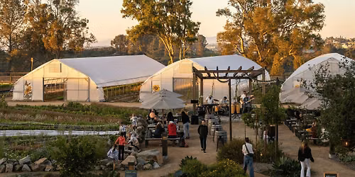 Friday Sunset Sessions at Fox Point Farms