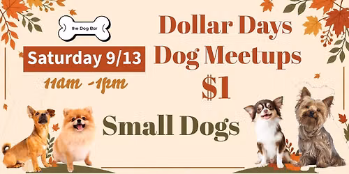Small Dog Meet Up 