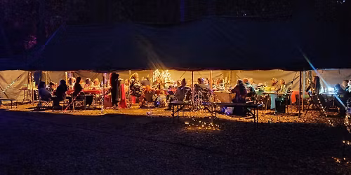 Quirky Experience Spring 2026