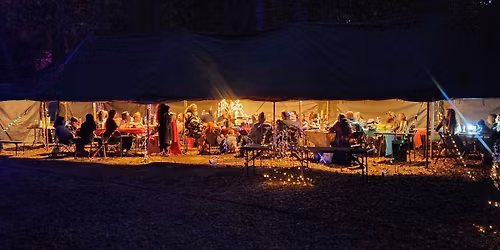 Quirky Experience Spring 2026