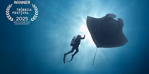 The Last Dive Screening and Director Q&A