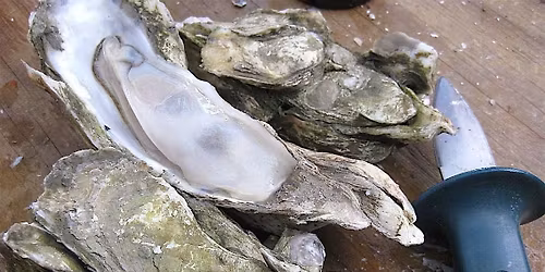 Brine and Brews Oyster Roast at Side Hustle Bluffton Taproom