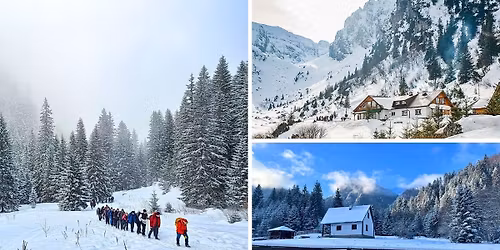 1 zi la Cabana M\u0103l\u0103ie\u0219ti #26