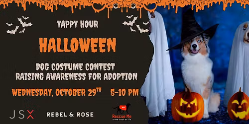 HALLOWEEN DOG COSTUME CONTEST - WIN JSX AIRLINES FLIGHT TICKETS!
