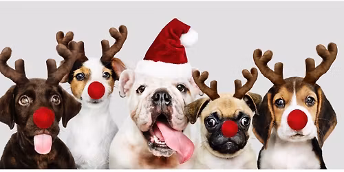 Pet Photos with Santa