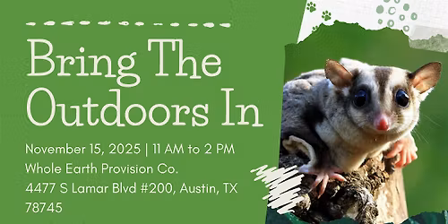 Bring The Outdoors In + Sip & See