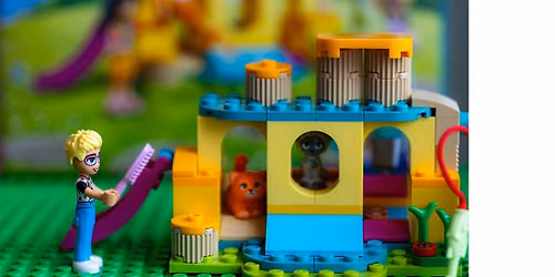 Busy Bodies Lego Club!